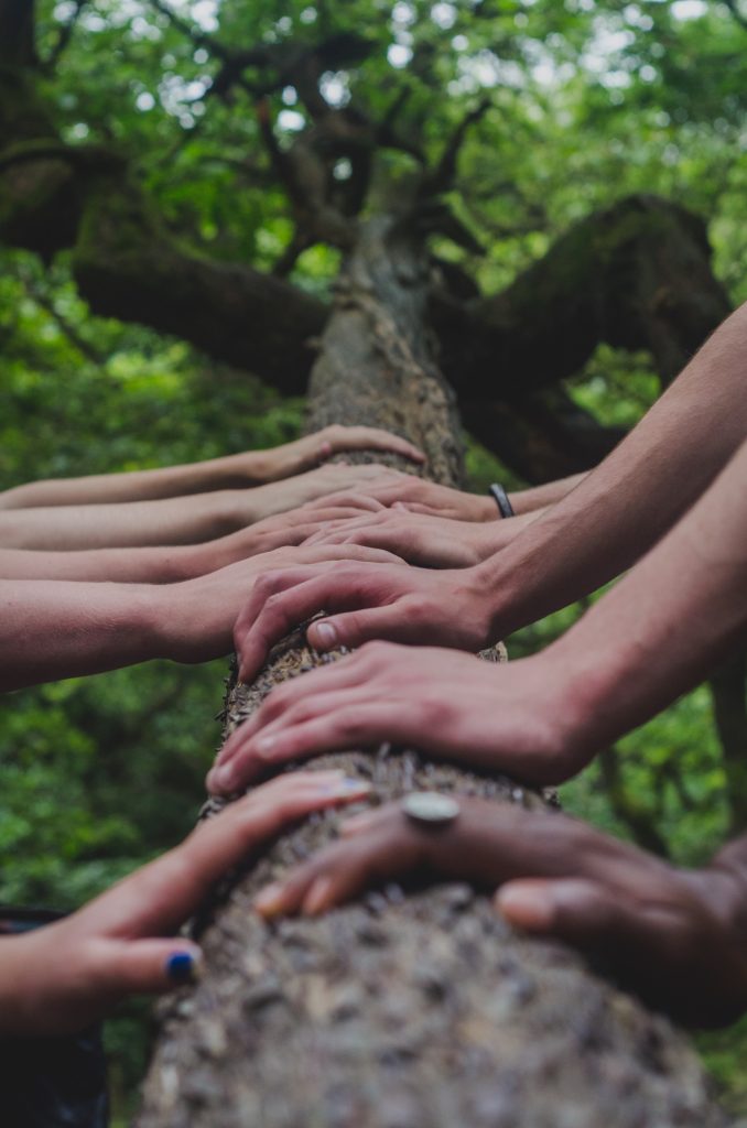 Photo by Shane Rounce on Unsplash Photo by Shane Rounce on Unsplash